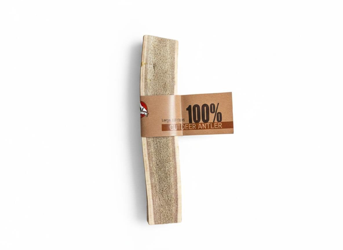 NT-110.jpeg