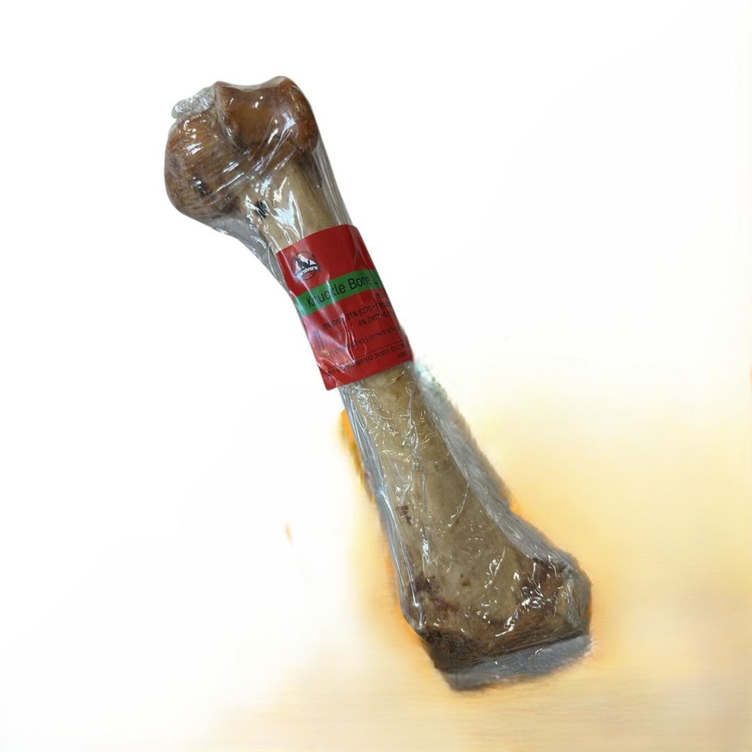 עצם_1.jpeg