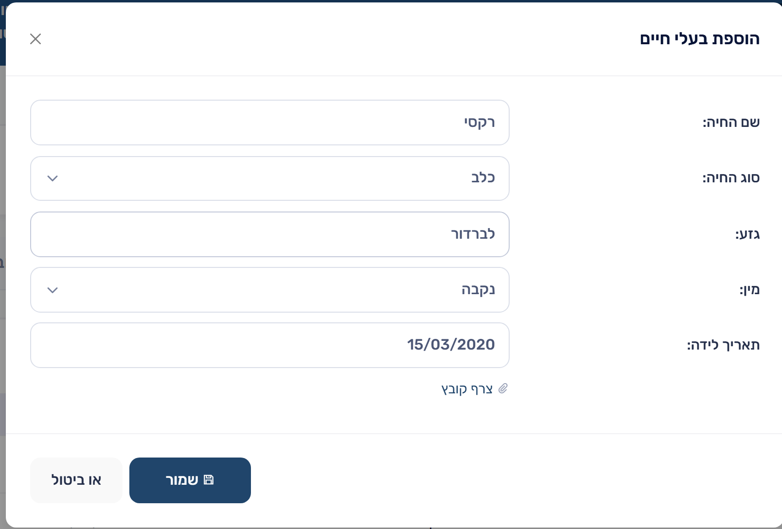הוספת אובייקט חדש לאיש הקשר